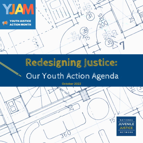 Policy Platforms – National Youth justice Network – NYJN
